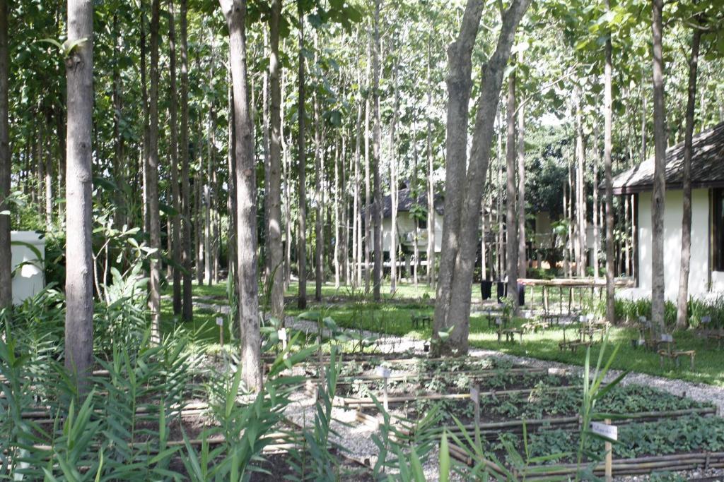 Narittaya Resort And Restaurant Chiang Mai Exterior photo
