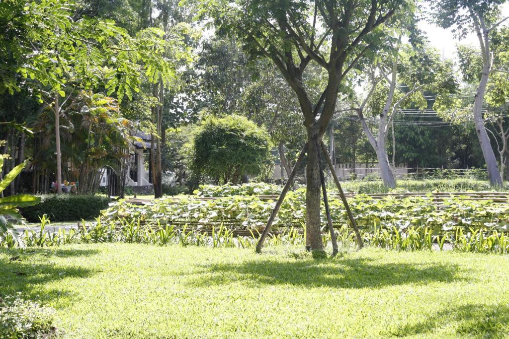 Narittaya Resort And Restaurant Chiang Mai Exterior photo
